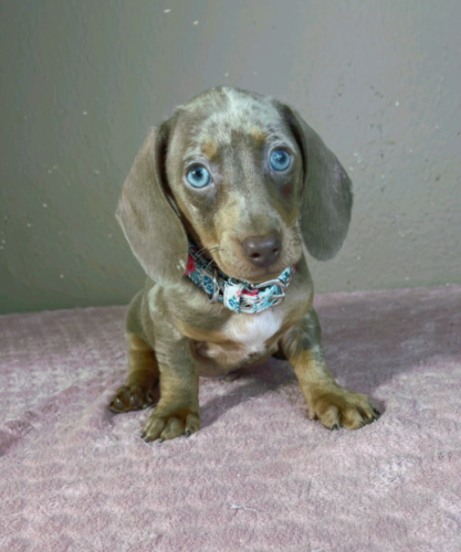 Pablo